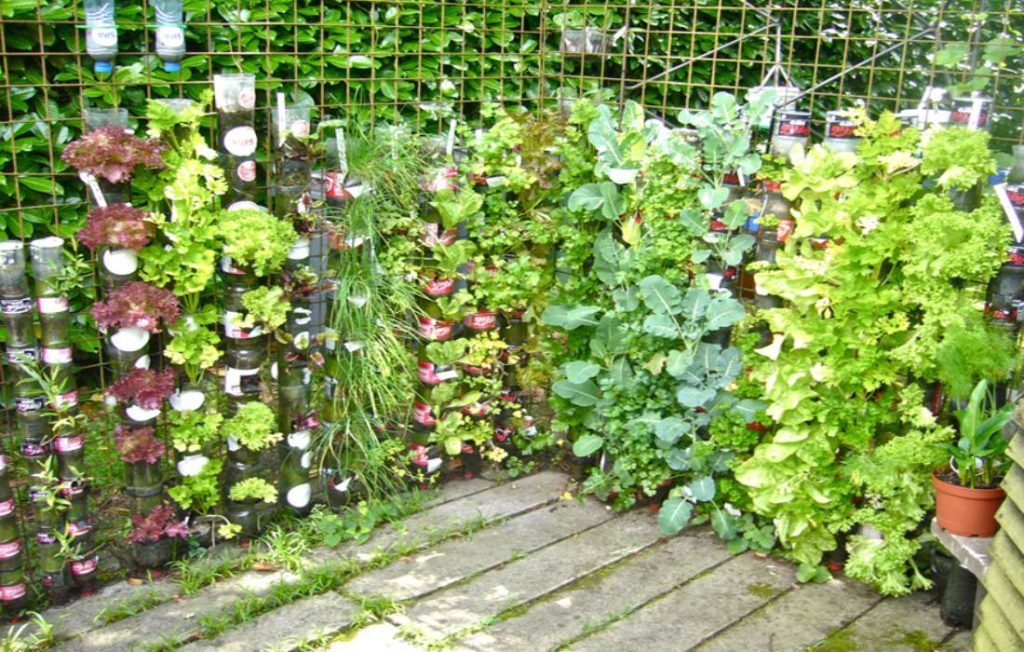 طراحی دیوار سبز حیاط